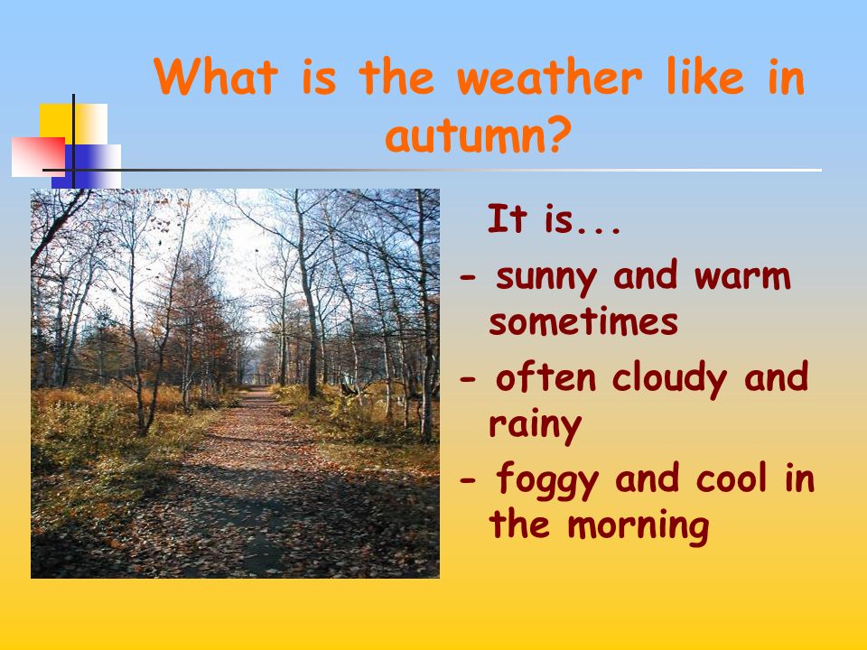 What is the weather like in autumn? foggy and cool in the morning. 