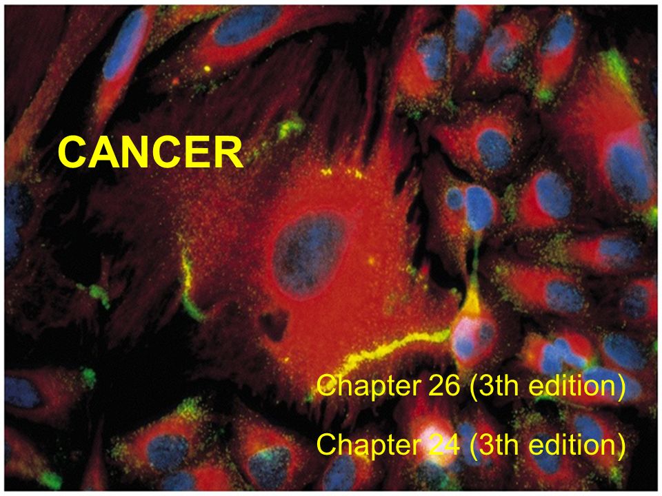 CANCER Chapter 26 (3th edition) Chapter 24 (3th edition)