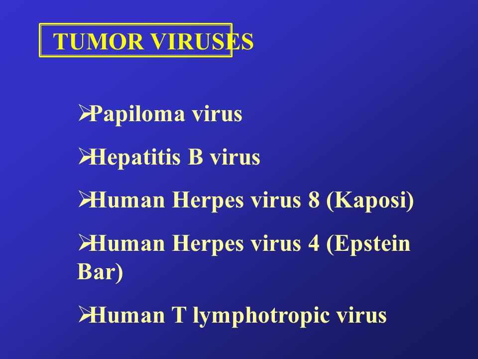 TUMOR VIRUSES Papiloma virus. Hepatitis B virus. Human Herpes virus 8 (Kaposi) Human Herpes virus 4 (Epstein Bar)