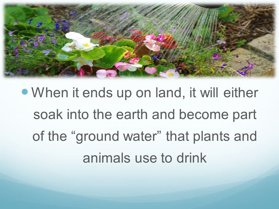 When it ends up on land, it will either soak into the earth and become part of the ground water that plants and animals use to drink