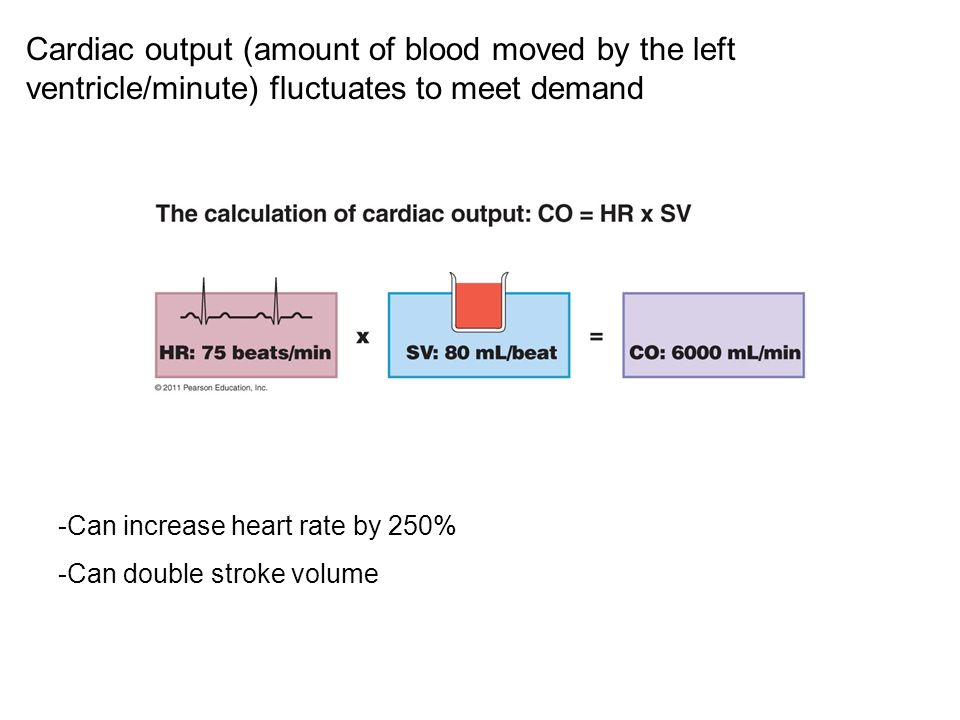 Cardiac output (amount of blood moved by the left ventricle/minute) fluctuates to meet demand