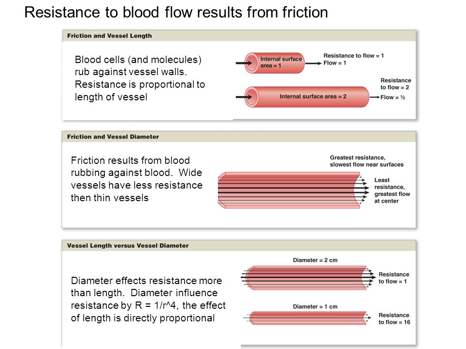 Resistance to blood flow results from friction