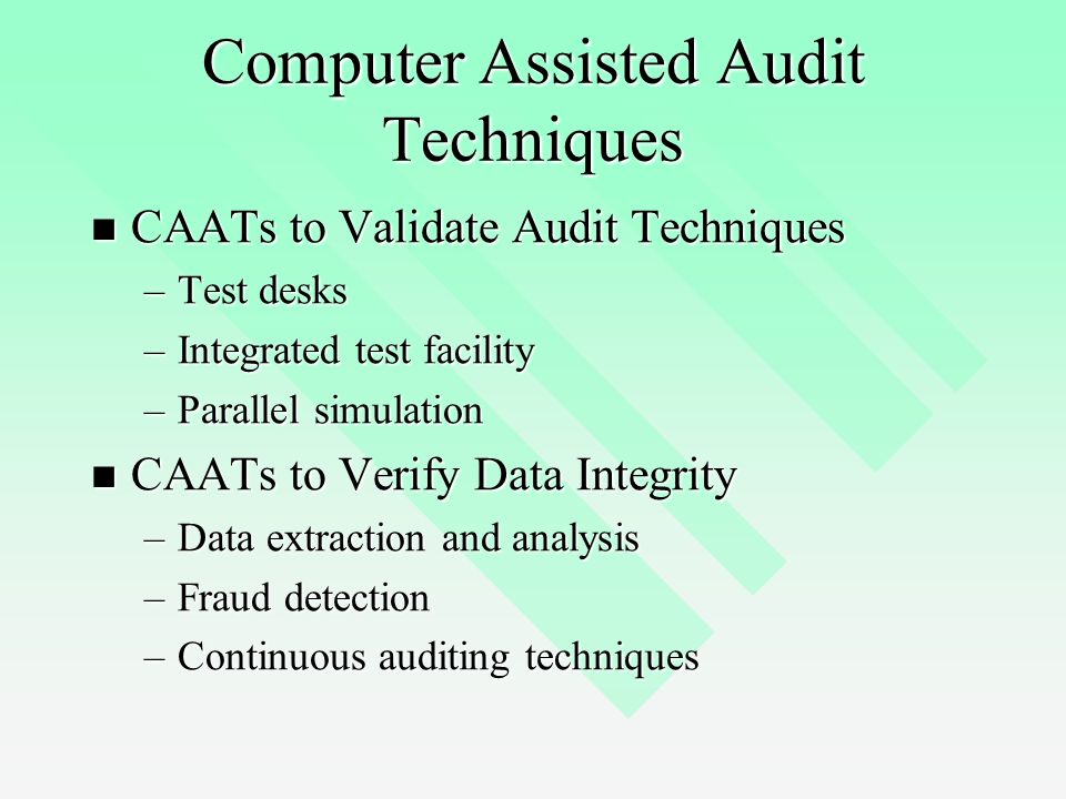 Using Computer Assisted Audit Tools and Techniques (CAATTs) - ppt video  online download