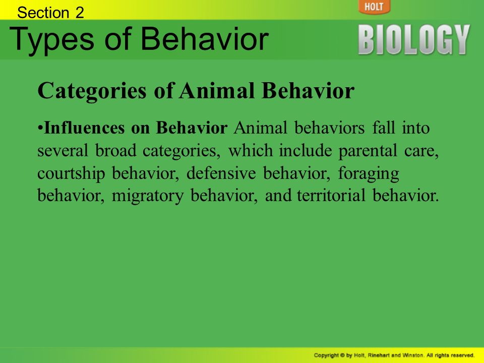Animal Behavior Section 1: Evolution of Behavior - ppt video online download