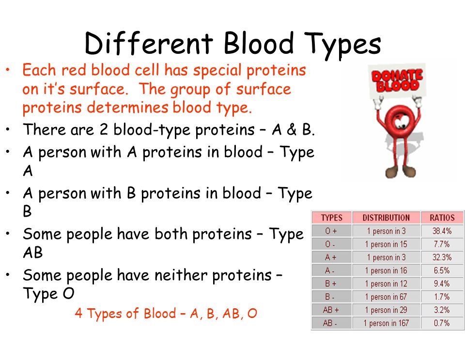 Different Blood Types Each red blood cell has special proteins on it’s surface. The group of surface proteins determines blood type.