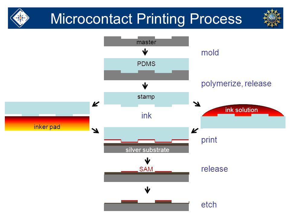 Microcontact Printing - ppt download