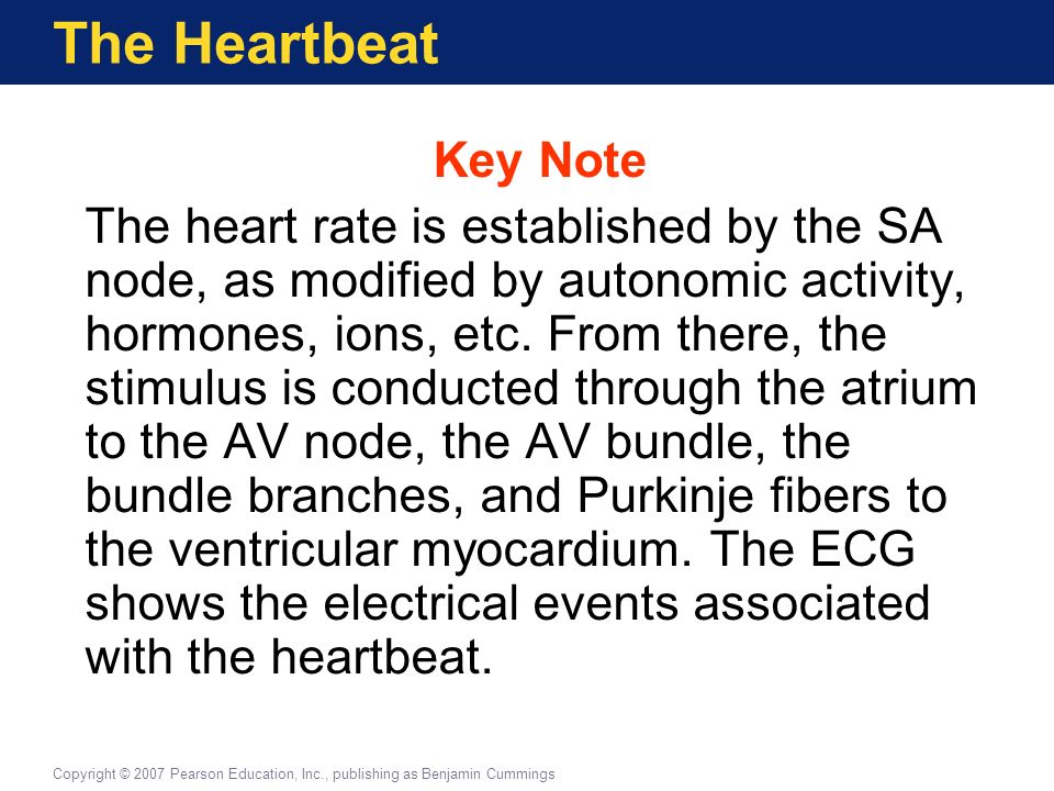 The Heartbeat Key Note.
