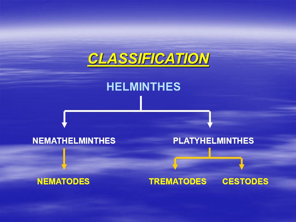 define helminthology
