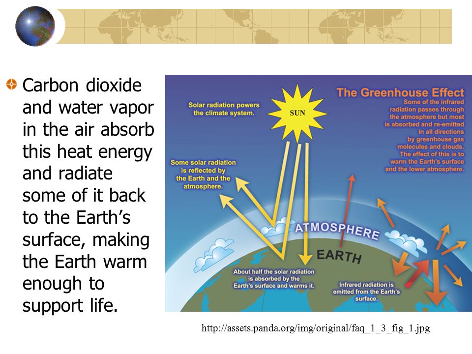 Carbon dioxide and water vapor in the air absorb this heat energy and radiate some of it back to the Earth’s surface, making the Earth warm enough to support life.