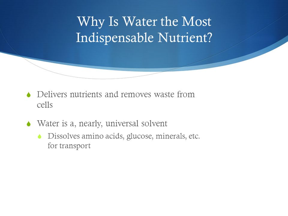what is the bodys most indispensable nutrient