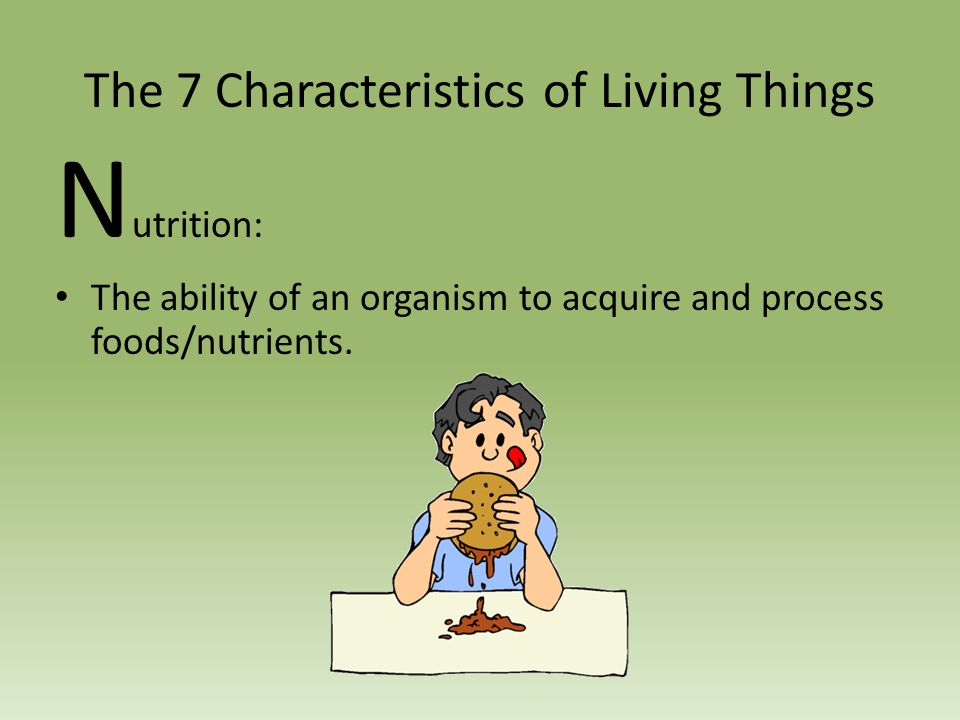 Characteristics Of Living Things Ppt Video Online Download Characteristics Of Living Things Ppt Video Online Download