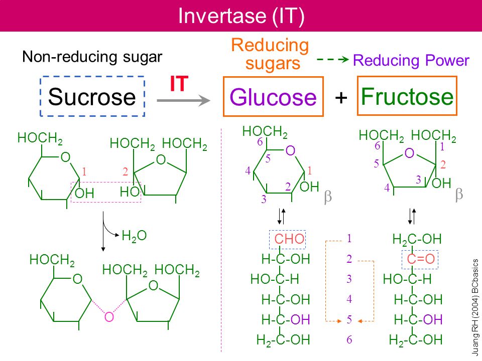 Sucrose Glucose Fructose + Invertase (IT) IT Reducing sugars