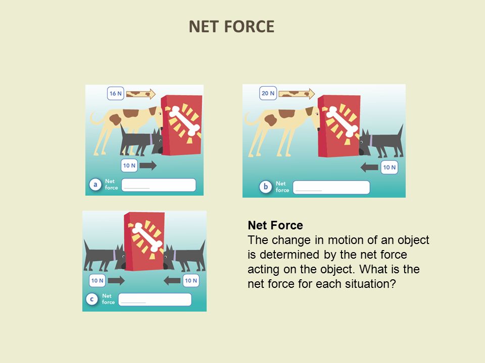 NET FORCE Net Force.