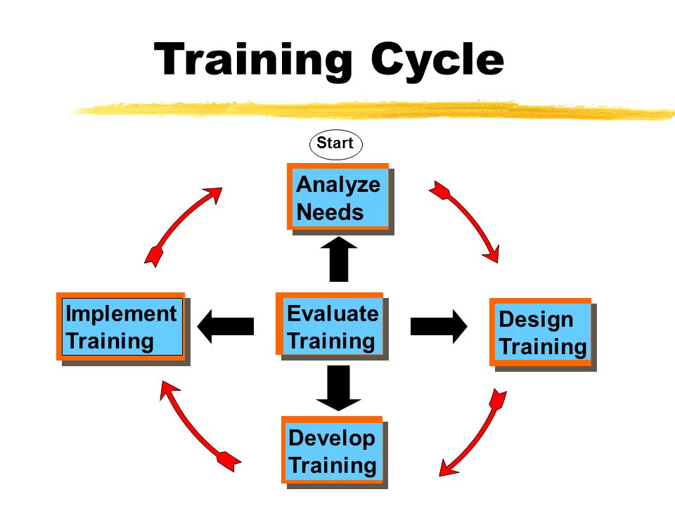 Training development