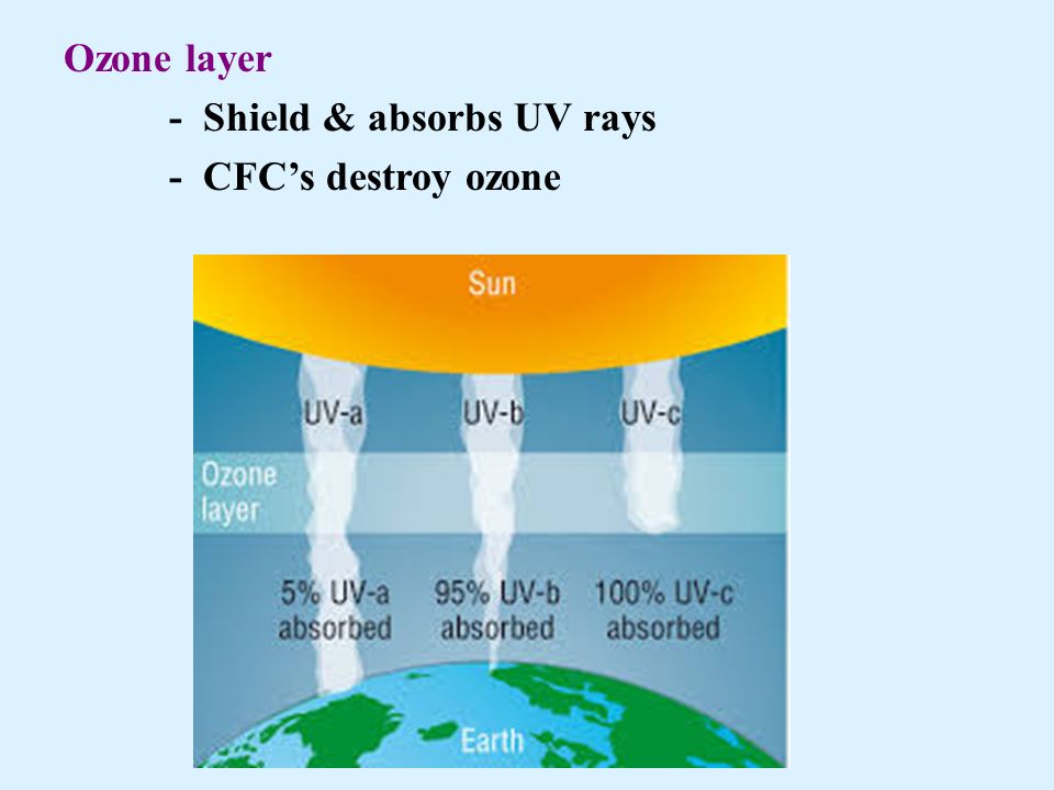 Ozone layer - Shield & absorbs UV rays - CFC’s destroy ozone