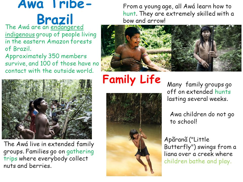 PEOPLE OF THE RAINFOREST - ppt download