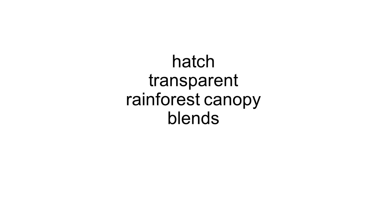 hatch transparent rainforest canopy blends