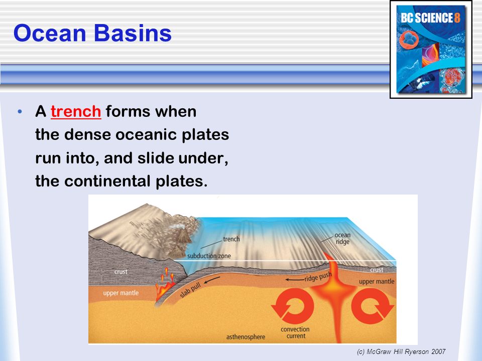 11 1 Ocean Basins The Surface Of The Ocean Floor Is As Varied As