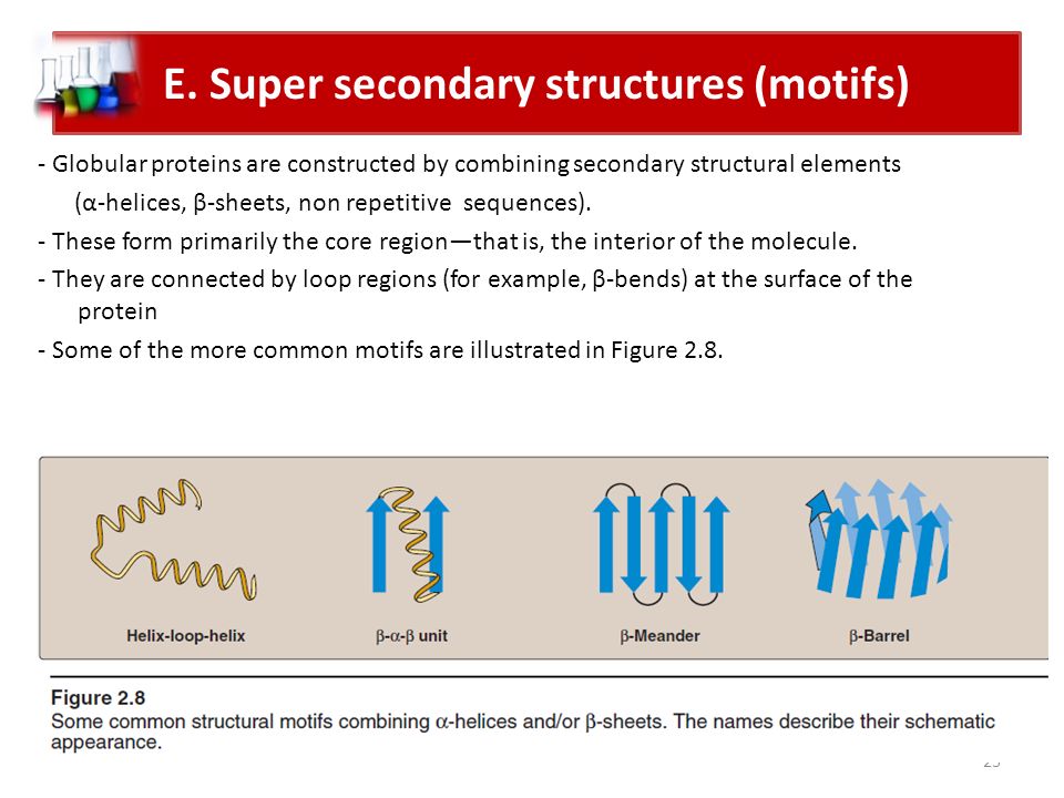 super secondary structure of protein ppt