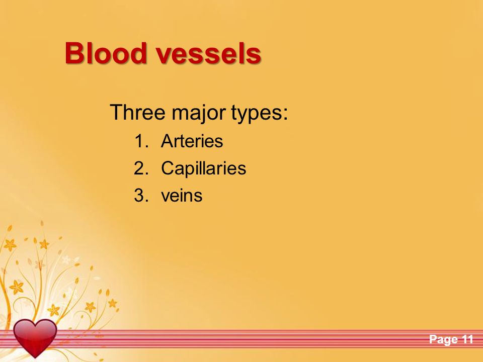 Blood vessels Three major types: Arteries Capillaries veins