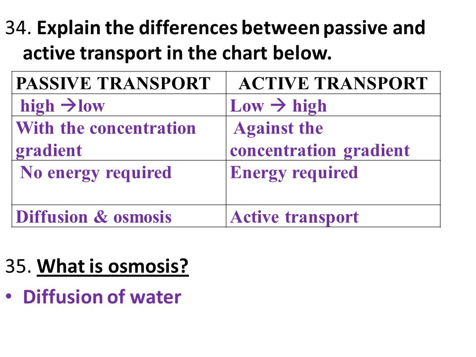 Active Vs Passive Transport Chart