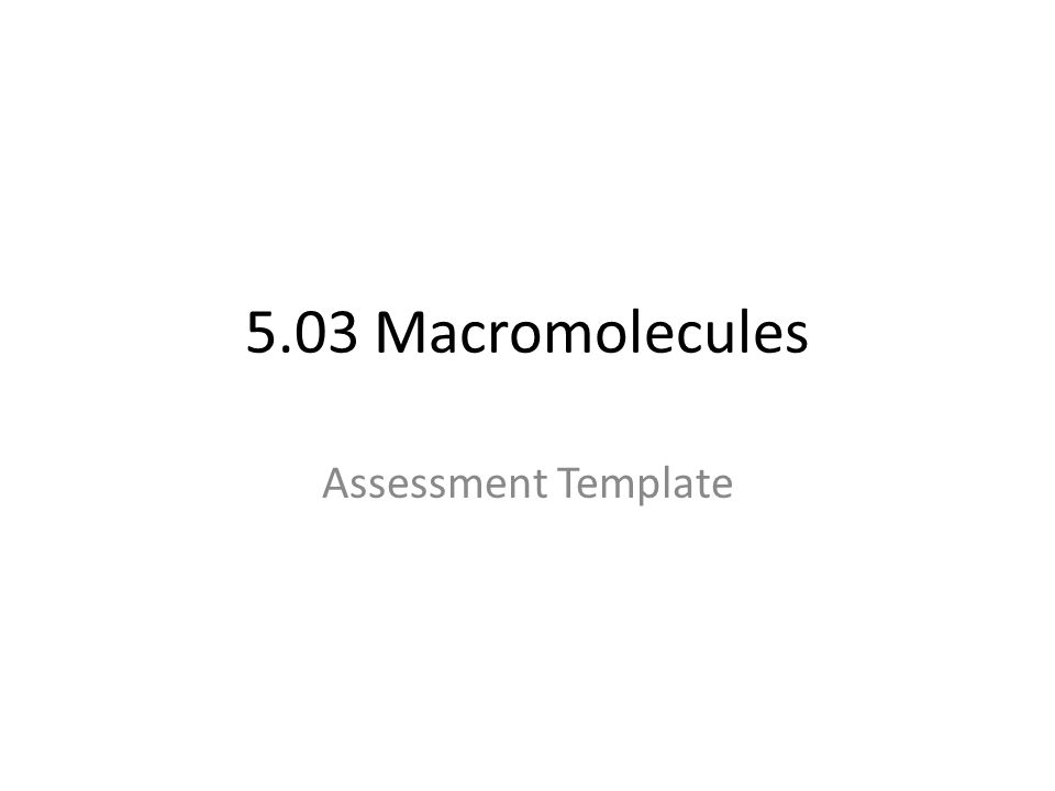 5.03 Macromolecules Assessment Template
