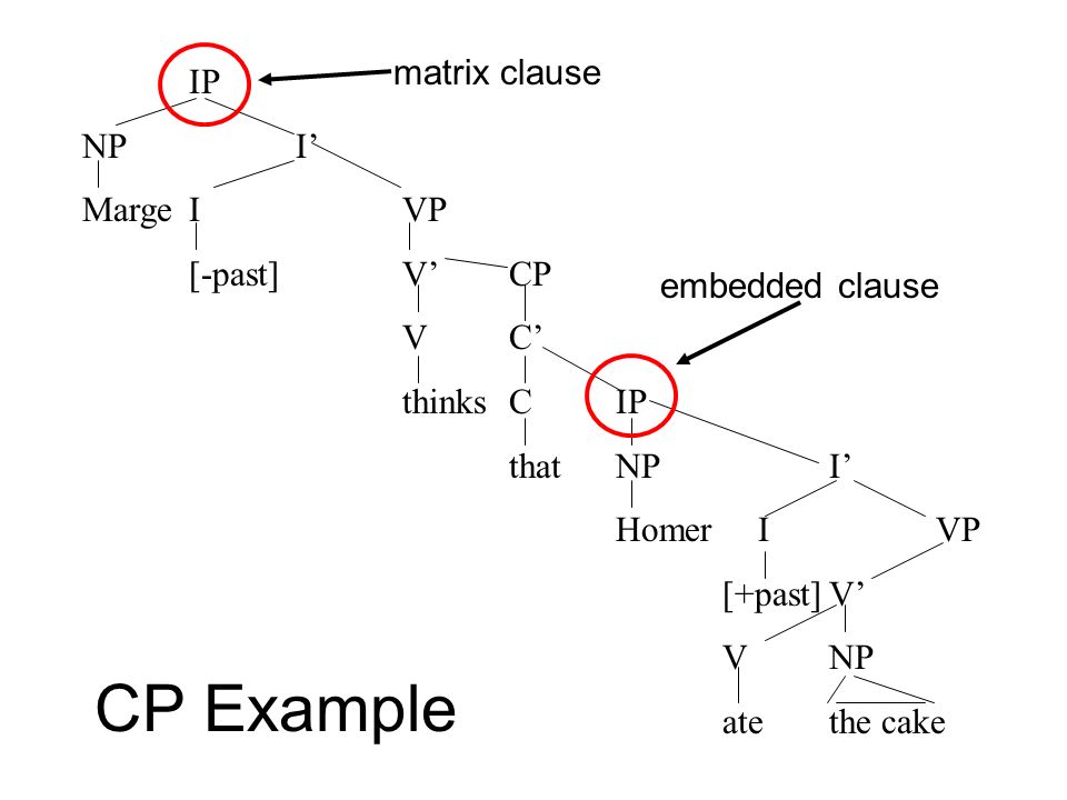 CP Example matrix clause IP NP I’ Marge I VP [-past] V’ CP V C’
