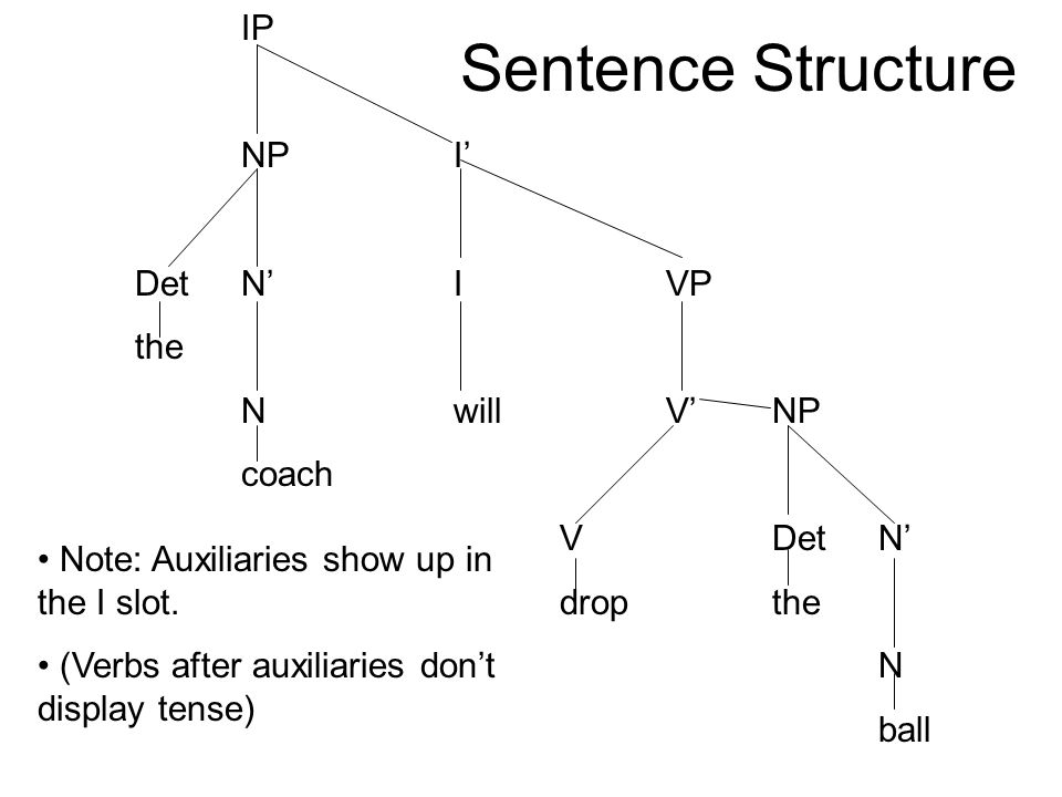 Sentence Structure IP NP I’ Det N’ I VP the N will V’ NP coach