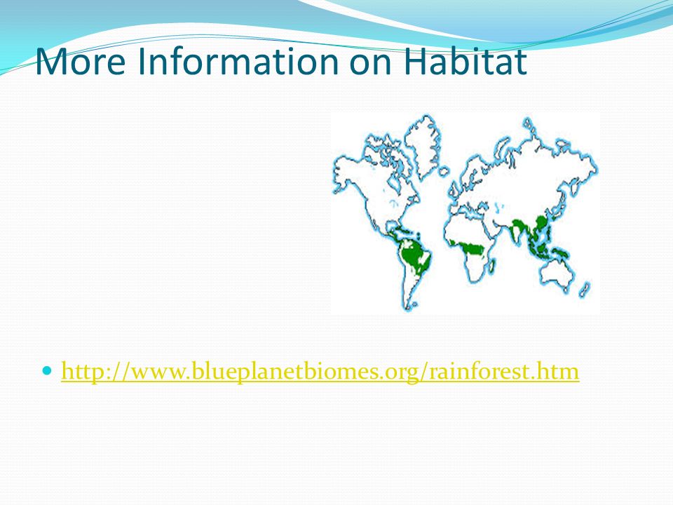 More Information on Habitat