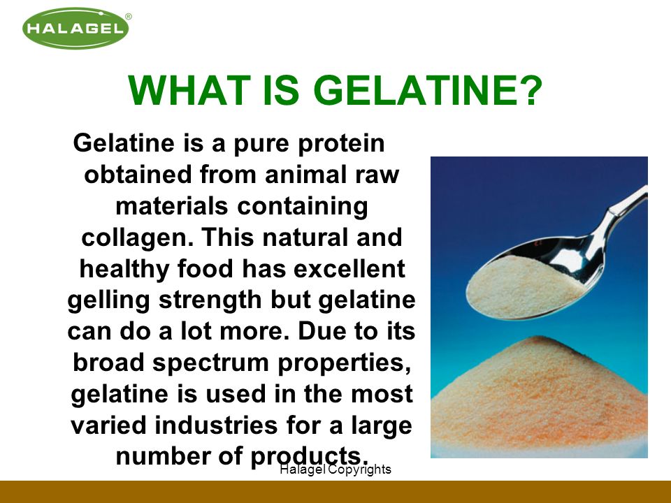 What is gelatine