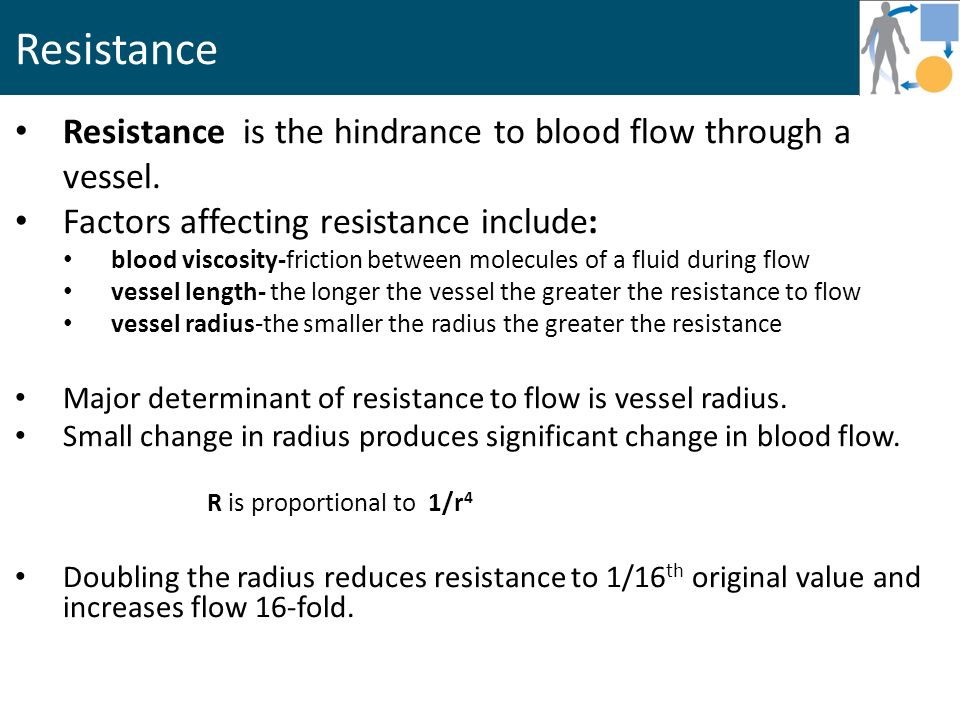 describe the relationship between vessel radius and blood flow rate
