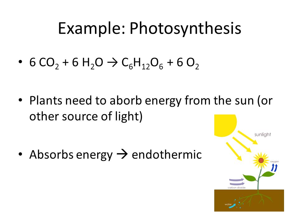 Example: Photosynthesis