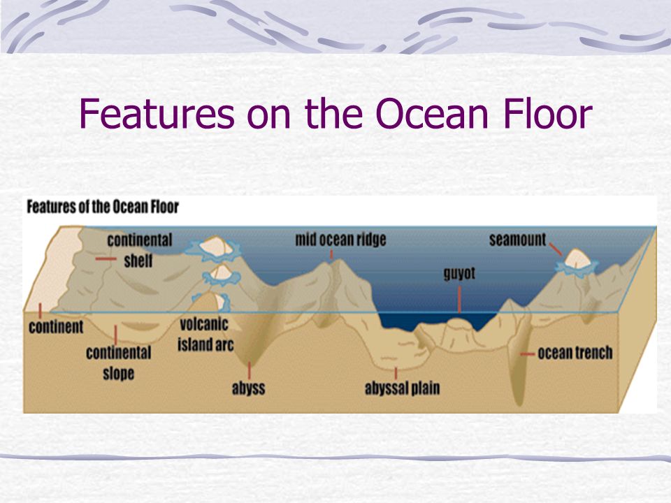The Ocean Floor Has Many Features Ppt Video Online Download