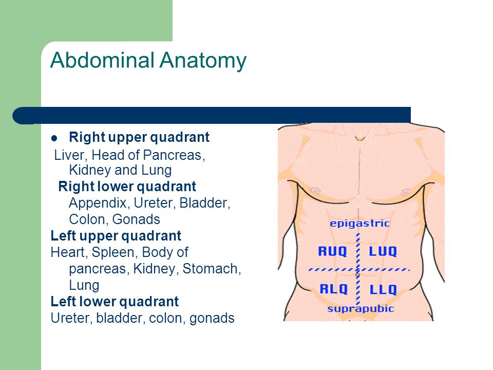 PPT - 32/M presenting with right flank pain PowerPoint Presentation, free  download - ID:2241428