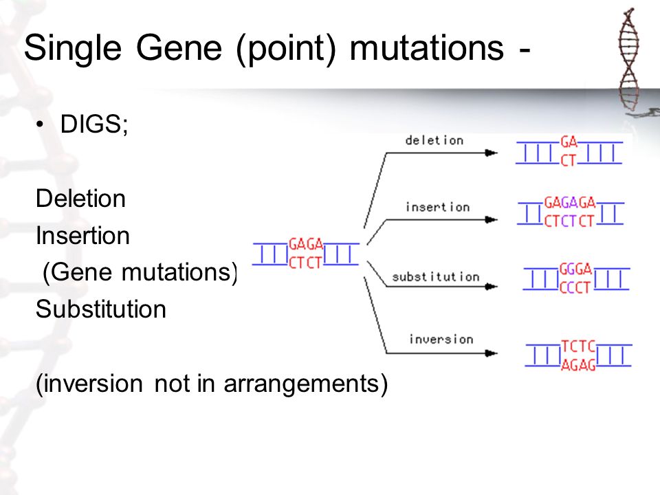 Gene mutations). 