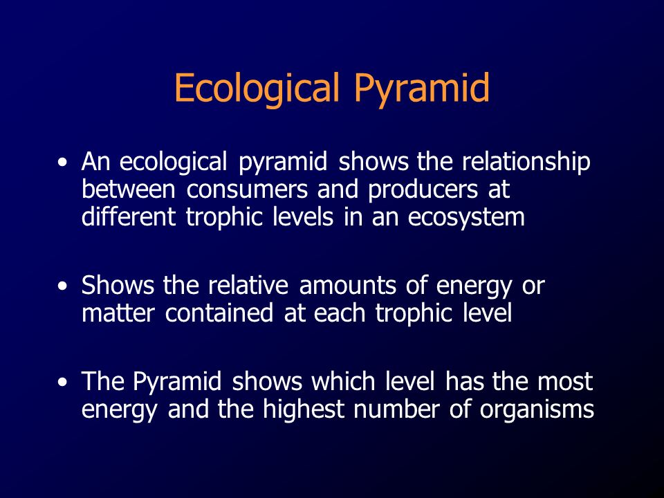 Ecological Pyramid An ecological pyramid shows the relationship between consumers and producers at different trophic levels in an ecosystem.