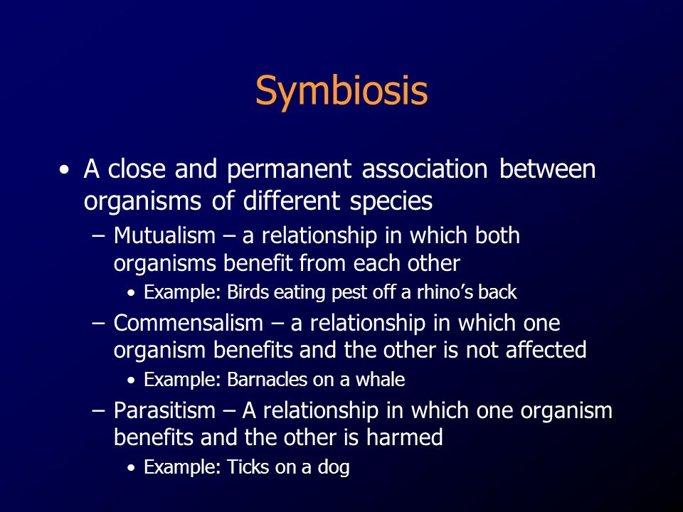 Symbiosis A close and permanent association between organisms of different species.