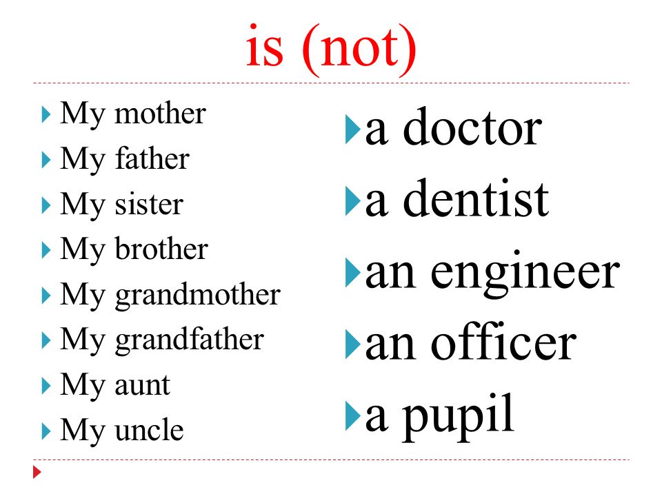 is (not) a doctor a dentist an engineer an officer a pupil My mother