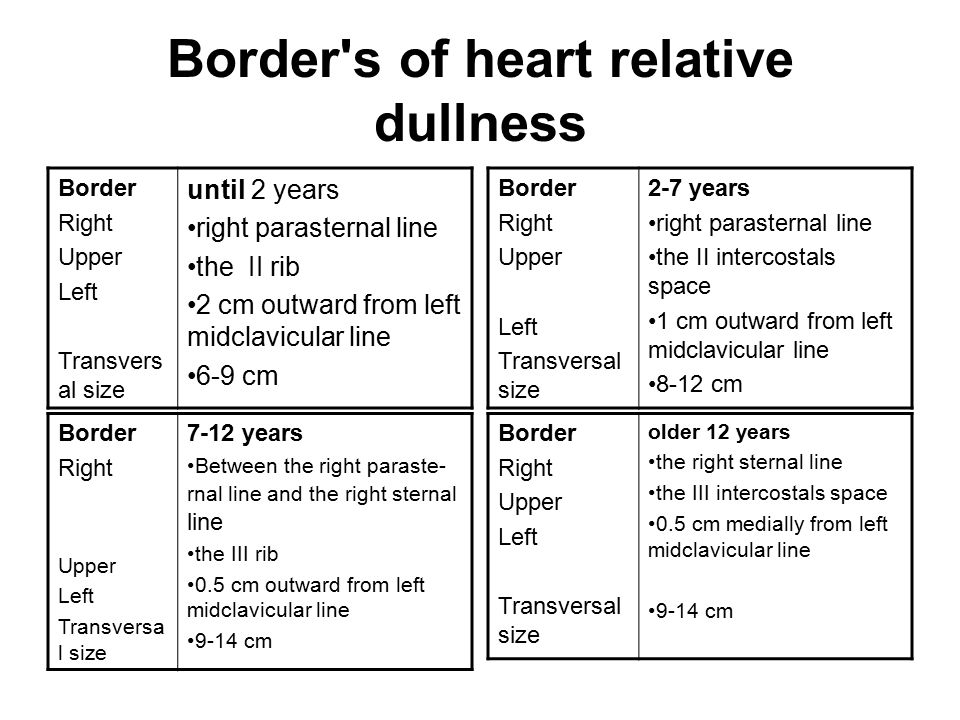border of relative cardiac dullness