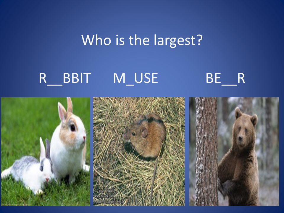 Compare animals. Comparing animals 4 класс как тема. Compare people animals and objects. 12 Compare people, animals and objects. R&BBIT.