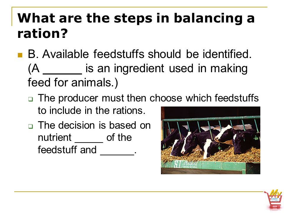 Animal, Plant & Soil Science - ppt download