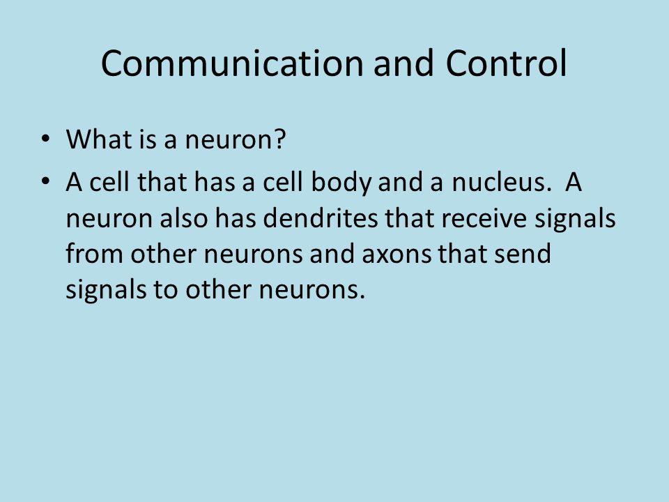 HOW THE BODY IS STRUCTURED - ppt video online download