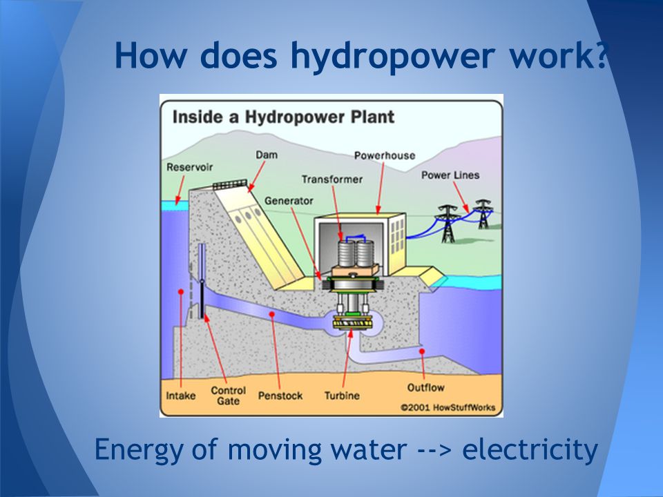 By Alex Kim & Bradley Uyemura Honorable Mention - Joshua Kim - ppt ...