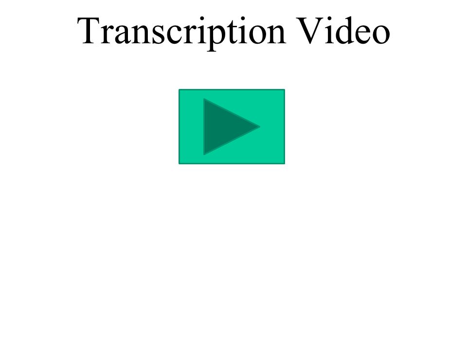 Transcription Video