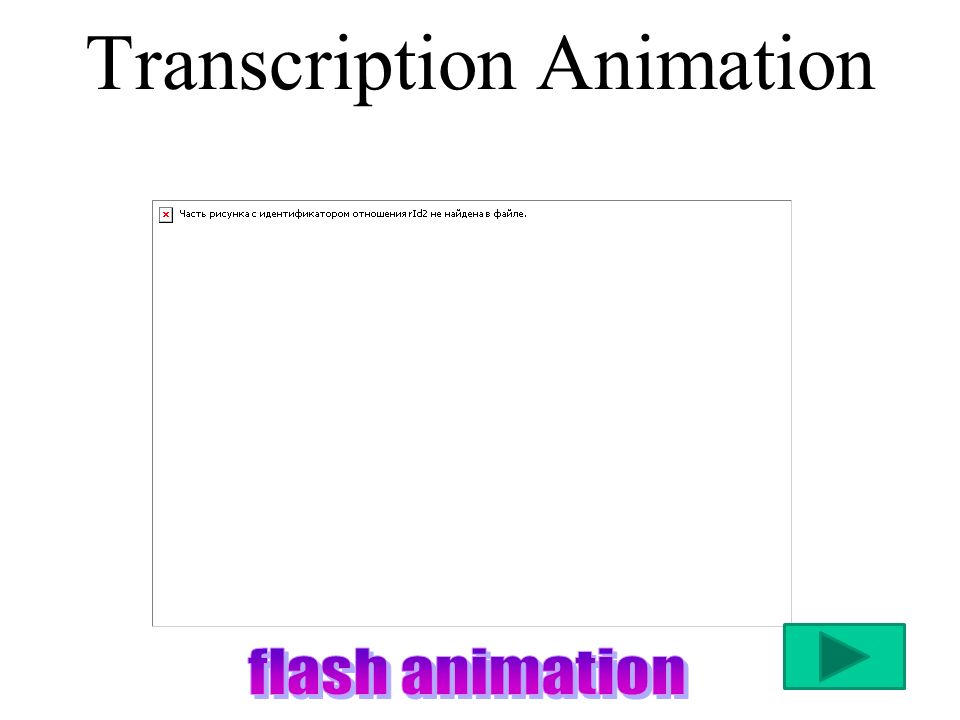 Transcription Animation