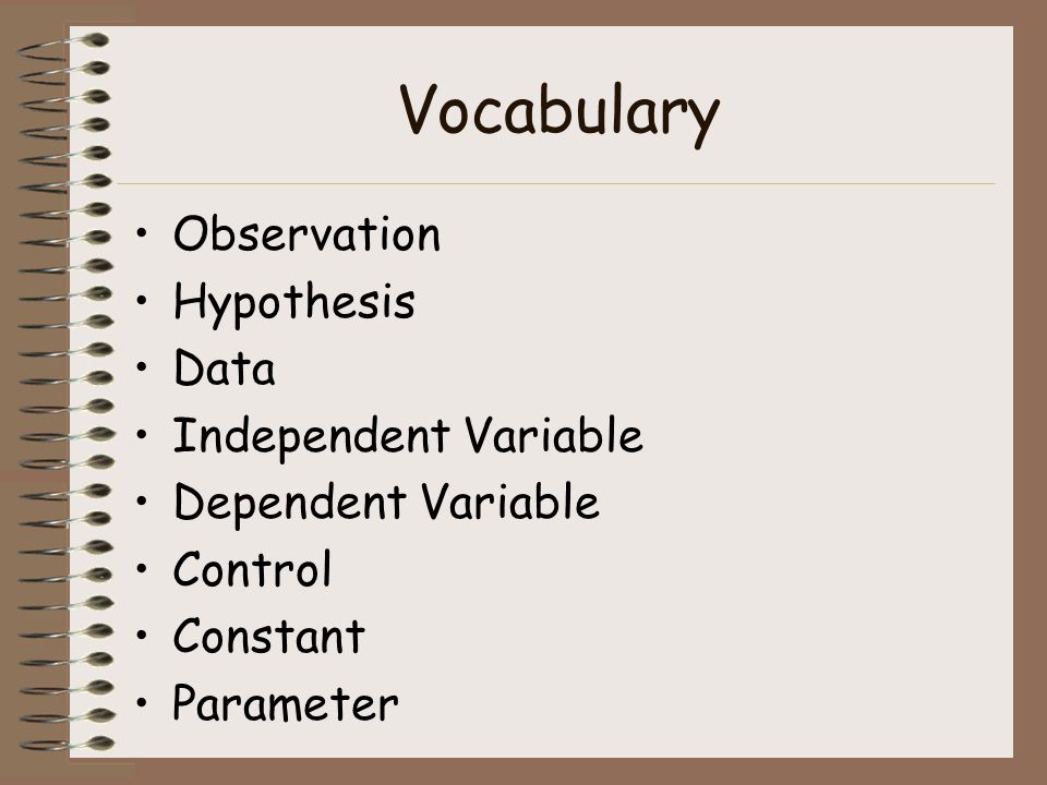 Vocabulary Observation Hypothesis Data Independent Variable
