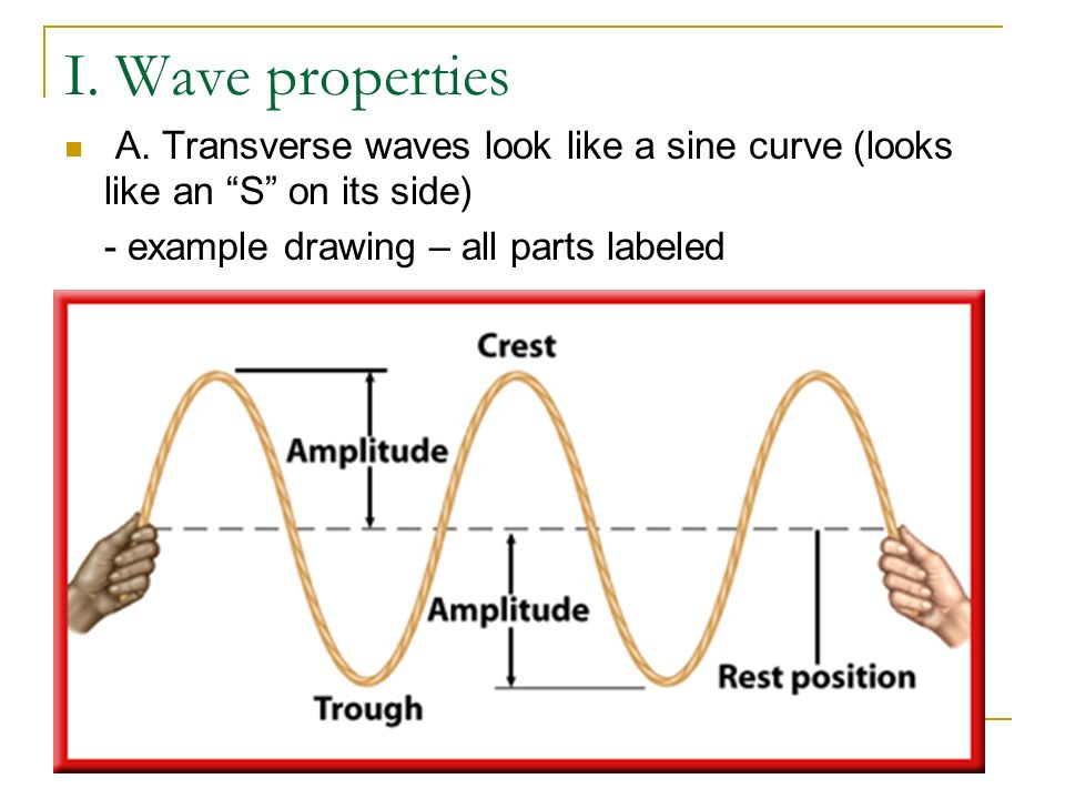 wave diagram labeled rest position