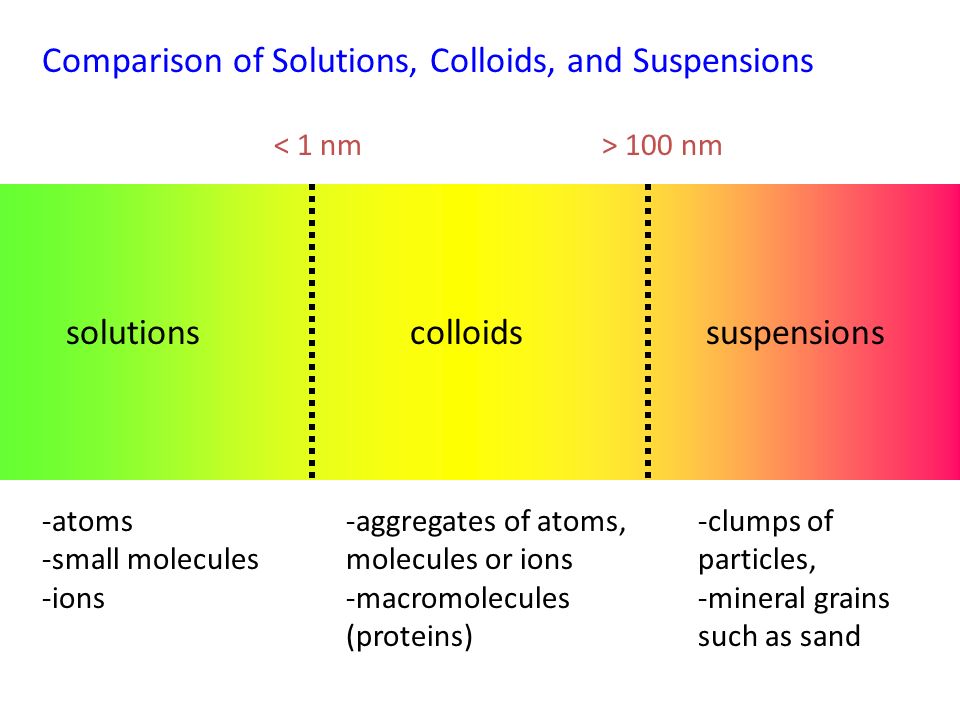 Suspension Or Solution Suspension Or Solution