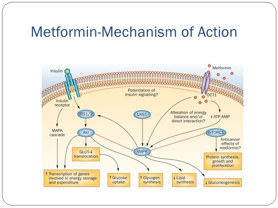 Mechanism of action. Metformin mechanism of Action. Метформин механизм действия схема. Insulin mechanism of Action. Схема действия метформина.