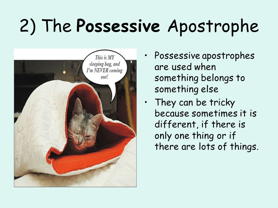 2) The Possessive Apostrophe